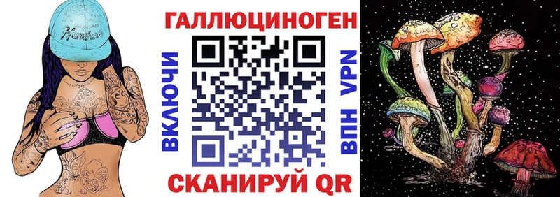 закладки  кракен как войти  Галлюциногенные грибы Magic Shrooms  Чебоксары 